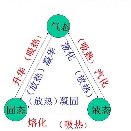 燕窝有哪些区别和联系：不同间的对比与关联分析