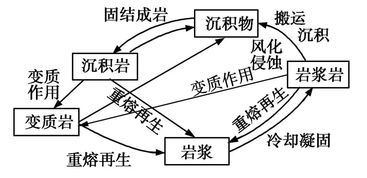 燕窝有哪些区别和联系：不同间的对比与关联分析