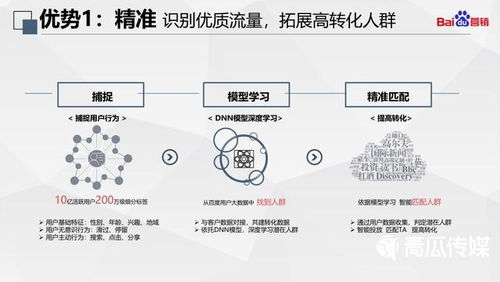 燕窝差异解析：全面揭秘各大特点与选购指南