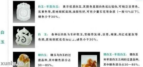 燕窝差异解析：全面揭秘各大特点与选购指南