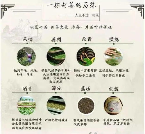 燕窝差异解析：全面揭秘各大特点与选购指南