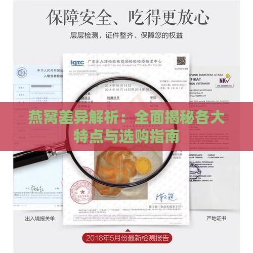 燕窝差异解析：全面揭秘各大特点与选购指南