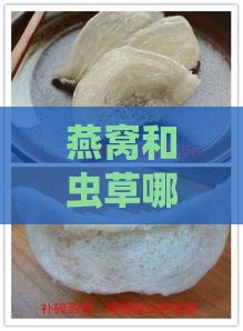 燕窝和虫草哪个滋阴好：比较营养价值与效果差异