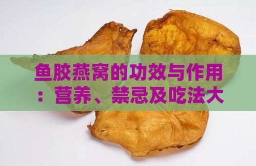 鱼胶燕窝的功效与作用：营养、禁忌及吃法大全