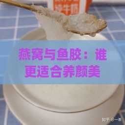 燕窝与鱼胶：谁更适合养颜美容？