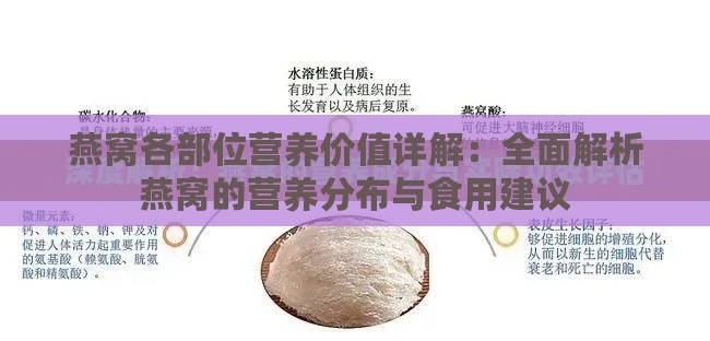 燕窝各部位营养价值详解：全面解析燕窝的营养分布与食用建议