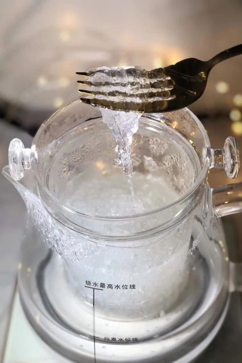 即食燕窝口味有哪些种类：全面解析不同风味选择与特色