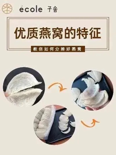 '揭秘即食燕窝：深度解析其主要营养成分与食材构成'