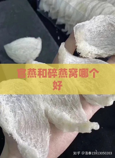 官燕和碎燕窝哪个好