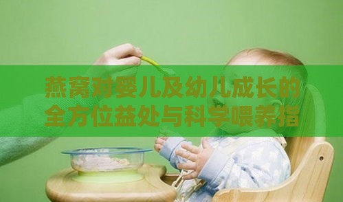 燕窝对婴儿及幼儿成长的全方位益处与科学喂养指南