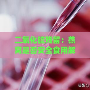 二氧化硫残留：燕窝是否安全食用解析