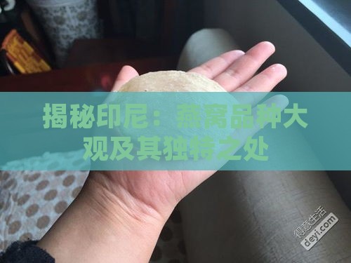 揭秘印尼：燕窝品种大观及其独特之处