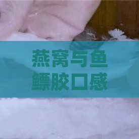 燕窝与鱼鳔胶口感对比：深度评测与美食体验指南