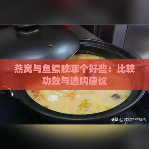 燕窝与鱼鳔胶哪个好些：比较功效与选购建议