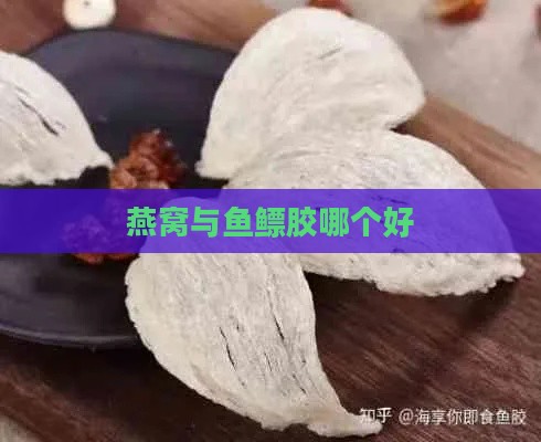 燕窝与鱼鳔胶哪个好