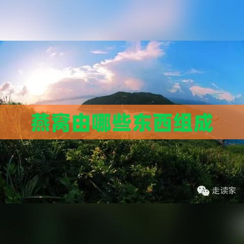 燕窝由哪些东西组成