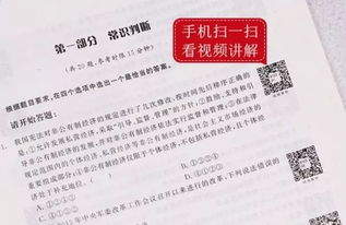 燕窝偏旁部首创新字大揭秘：全面解析燕窝可组成的新字及其实际应用