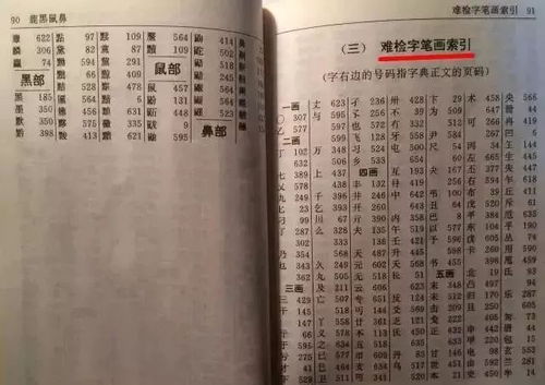 燕窝偏旁部首创新字大揭秘：全面解析燕窝可组成的新字及其实际应用