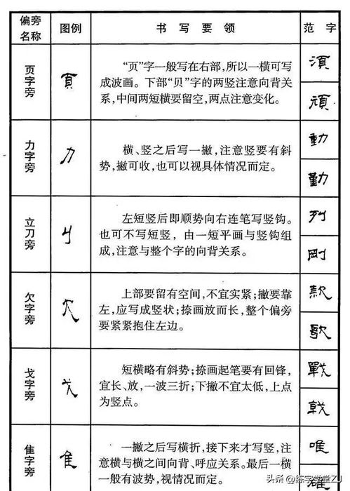 燕窝偏旁部首创新字大揭秘：全面解析燕窝可组成的新字及其实际应用