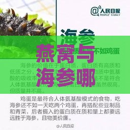 燕窝与海参哪个好啊：比较营养价值和区别