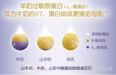 燕窝与人参的营养价值对比及适用人群分析：哪个更适合您的健康需求？