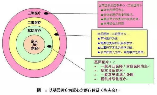 燕窝与人参的营养价值对比及适用人群分析：哪个更适合您的健康需求？