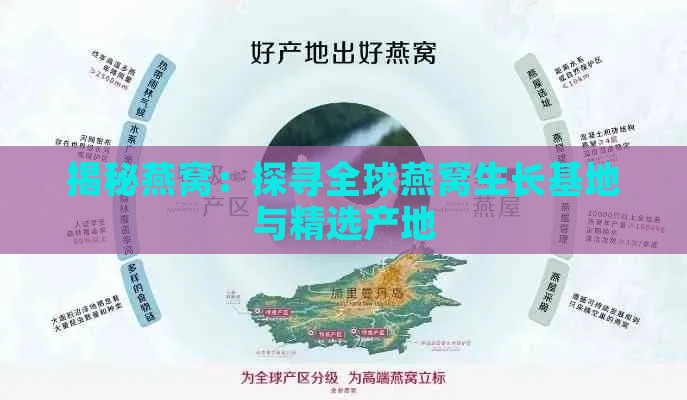 揭秘燕窝：探寻全球燕窝生长基地与精选产地