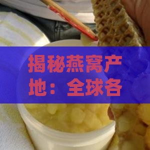 揭秘燕窝产地：全球各大燕窝生长基地及其丰富品种一览