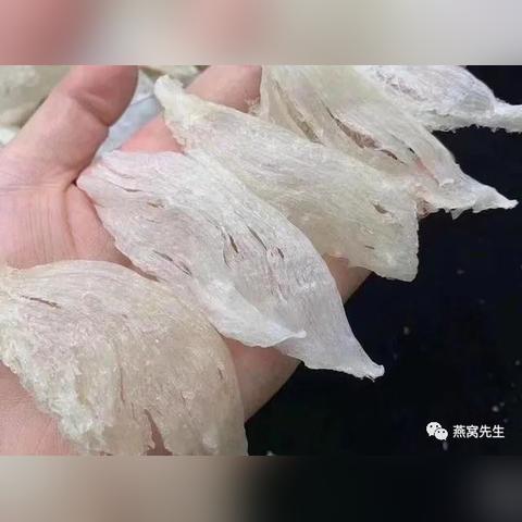 揭秘燕窝产地：全球各大燕窝生长基地及其丰富品种一览