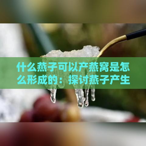 什么燕子可以产燕窝是怎么形成的：探讨燕子产生燕窝的原因与过程