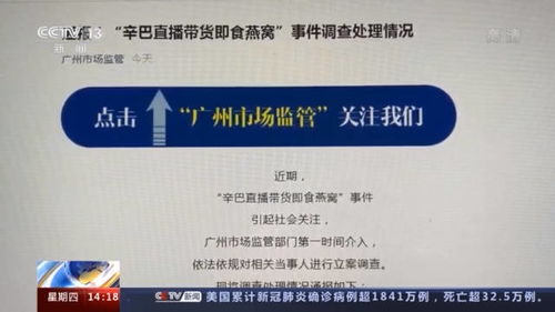 揭秘辛巴直播间热销燕窝：、成分及购买指南全解析