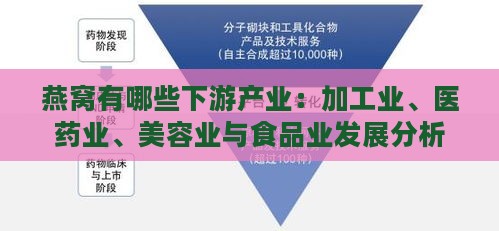 燕窝有哪些下游产业：加工业、医药业、美容业与食品业发展分析