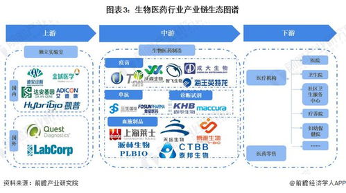 燕窝有哪些下游产业：加工业、医药业、美容业与食品业发展分析