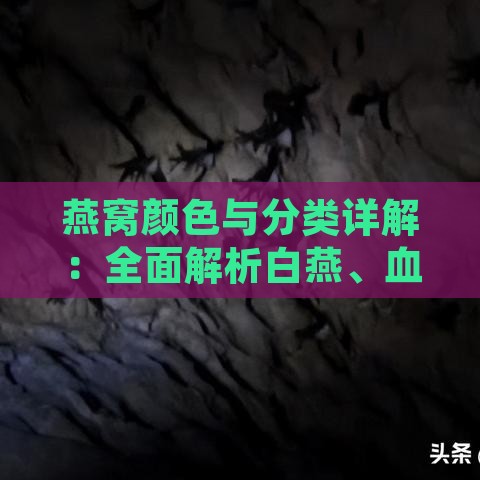 燕窝颜色与分类详解：全面解析白燕、血燕、黄燕及其他稀有类型