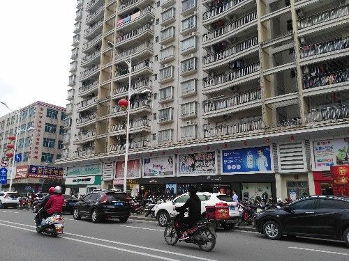 福建燕窝一览：探寻福建地区知名燕窝及其特色与优势