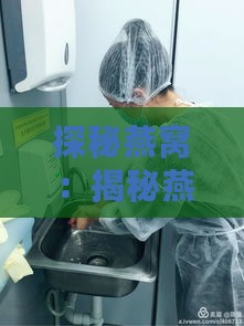 探秘燕窝：揭秘燕窝生产模式的多样化类型与特点