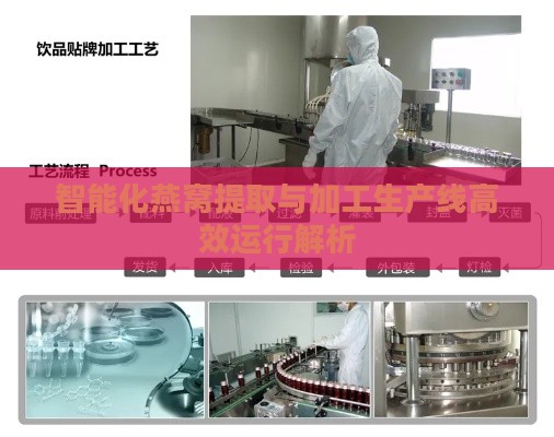 智能化燕窝提取与加工生产线高效运行解析