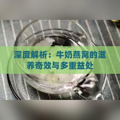 深度解析：牛奶燕窝的滋养奇效与多重益处