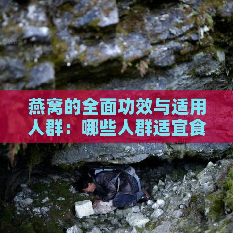 燕窝的全面功效与适用人群：哪些人群适宜食用，哪些人需谨慎或避免