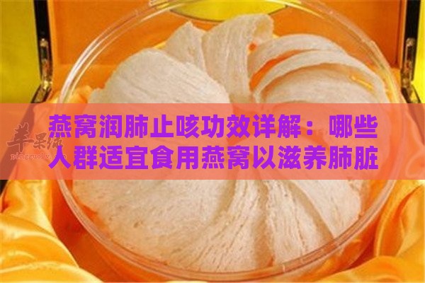 燕窝润肺止咳功效详解：哪些人群适宜食用燕窝以滋养肺脏