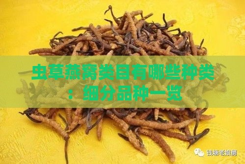 虫草燕窝类目有哪些种类：细分品种一览