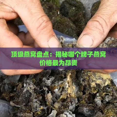 顶级燕窝盘点：揭秘哪个牌子燕窝价格最为昂贵