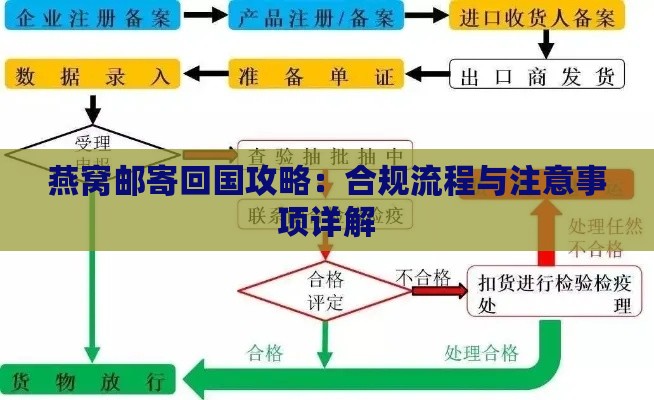 燕窝邮寄回国攻略：合规流程与注意事项详解