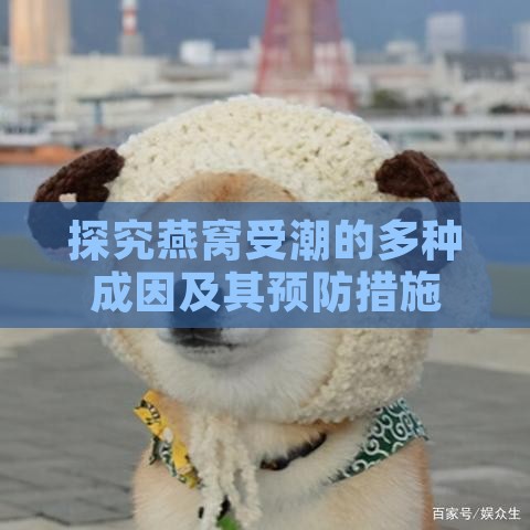 探究燕窝受潮的多种成因及其预防措施