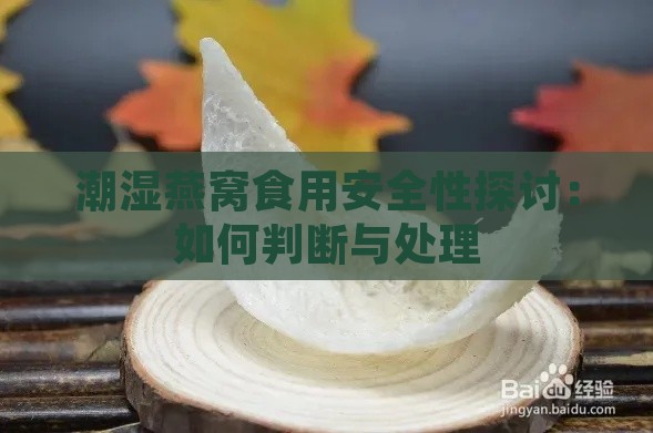 潮湿燕窝食用安全性探讨：如何判断与处理