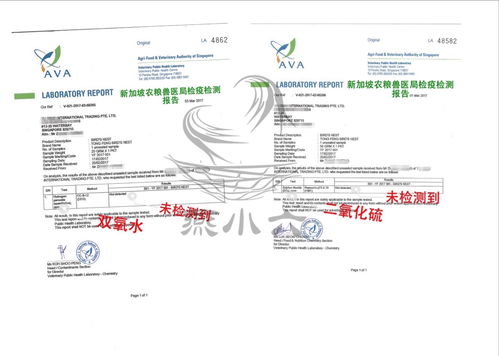 燕窝洞燕：与屋燕的区别、分类及优劣对比分析