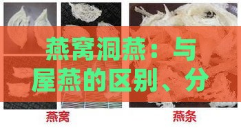 燕窝洞燕：与屋燕的区别、分类及优劣对比分析