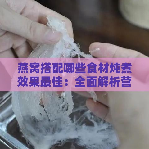 燕窝搭配哪些食材炖煮效果更佳：全面解析营养与口感搭配指南