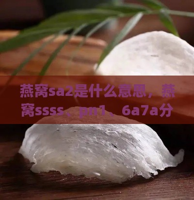 燕窝sa2是什么意思，燕窝ssss、pn1、6a7a分别是什么含义