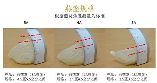 解析燕窝S1级别含义：品质、等级与选购全攻略